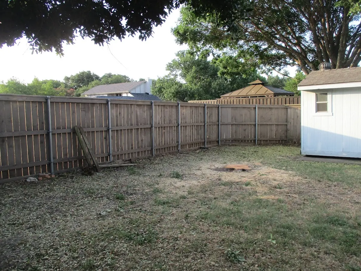 Cleared yard after professional tree removal in Kermit